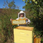 Author with frame of honey